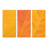 Autumn Leaves (Print Only) thumbnail