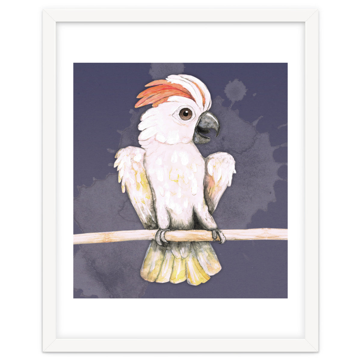 Salmon-crested cockatoo