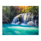 Nature (Print Only) thumbnail