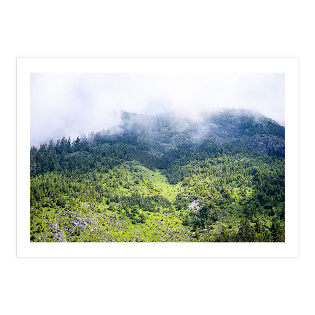 Ascension (Print Only)