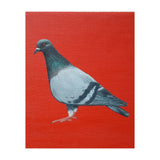 Pigeon (Print Only) thumbnail