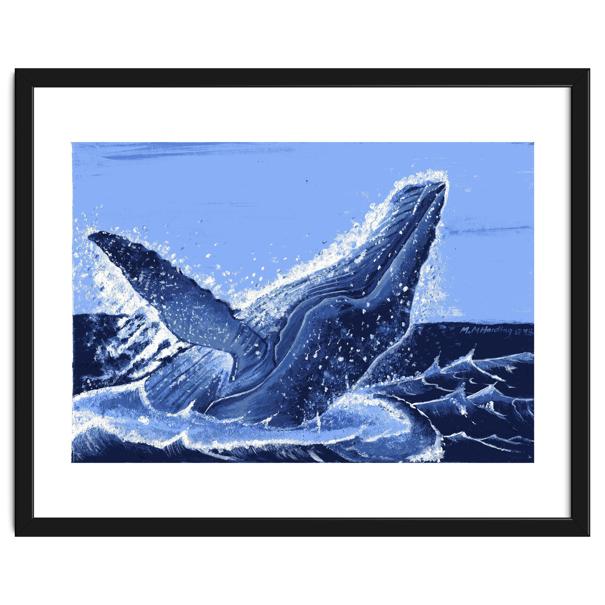 Humpback Whale Breaching