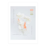 Modern Vintage Botanic (Print Only) thumbnail
