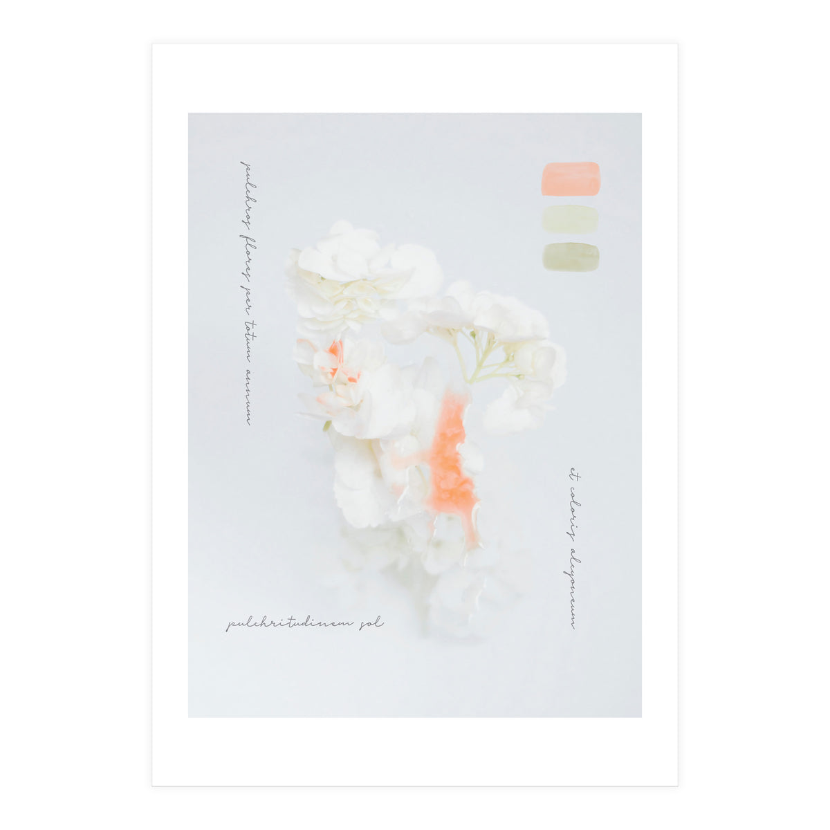 Modern Vintage Botanic (Print Only)