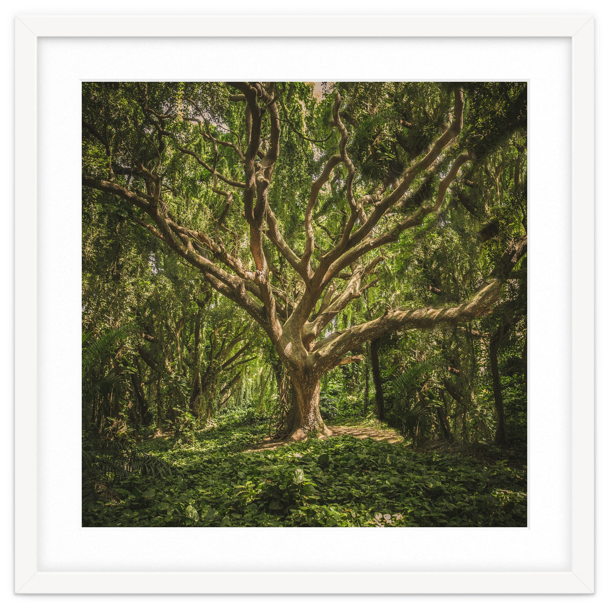 Spirits inside the wood