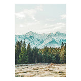 Winter Weather (Print Only) thumbnail