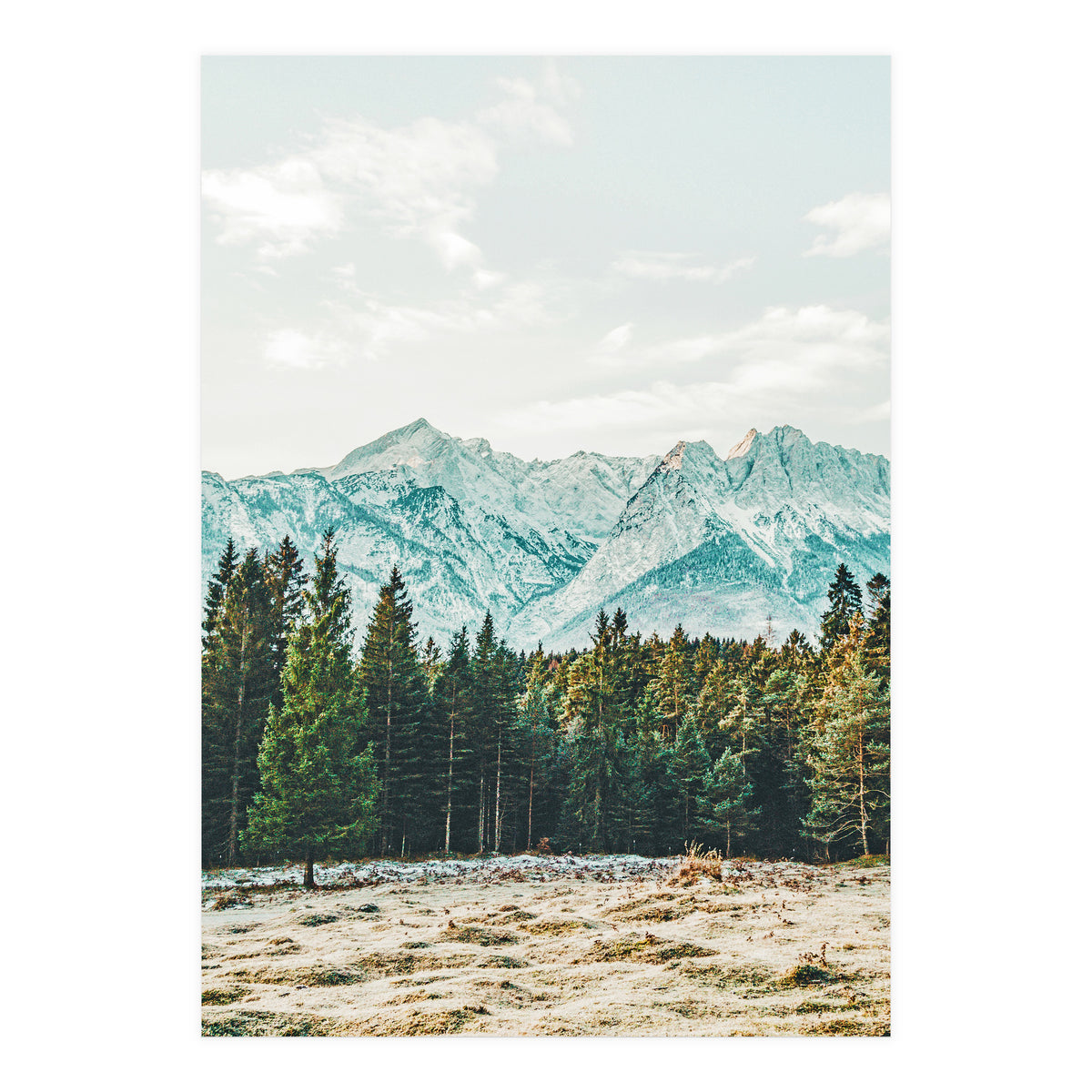 Winter Weather (Print Only)