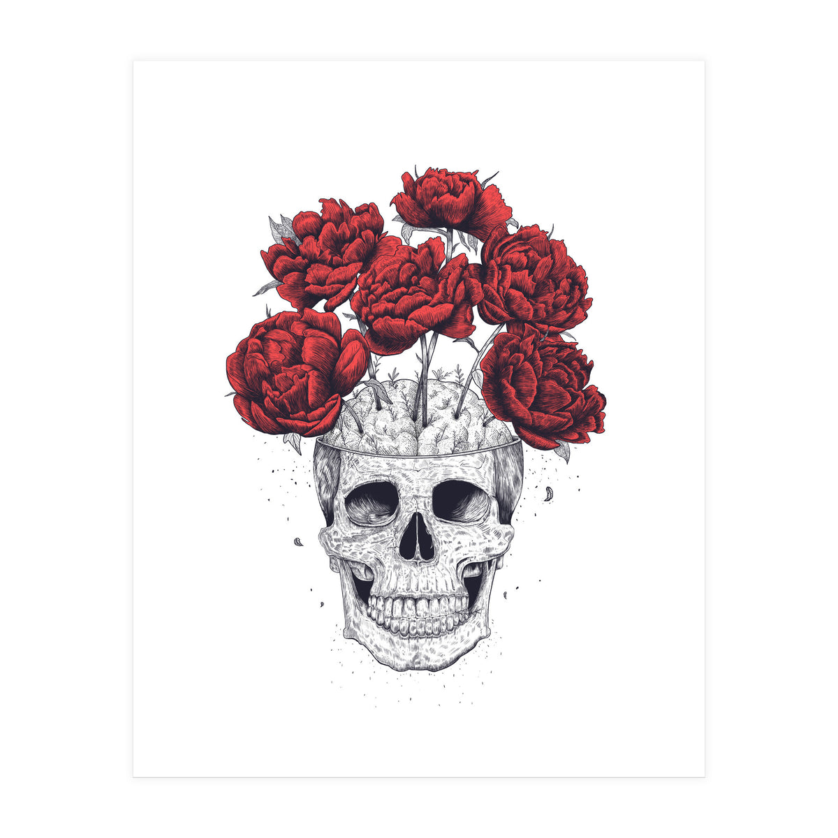 Skull With Peonies (Print Only)