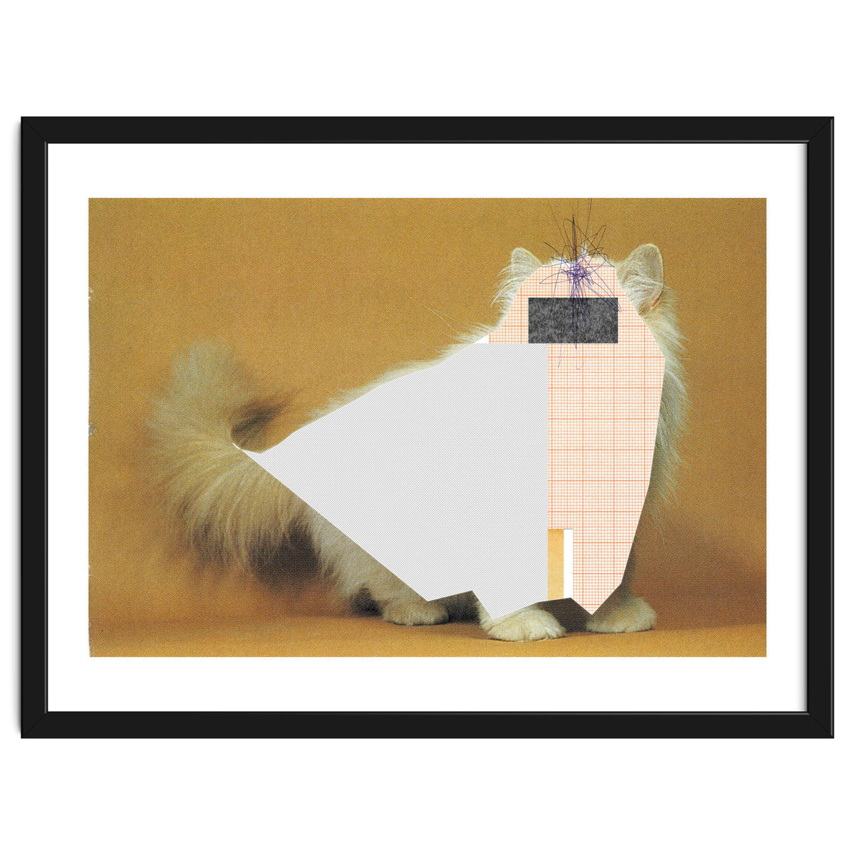 Content Of The Cat 1