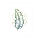 Geometry And Nature V (Print Only) thumbnail