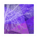 P19-D2 Trees and Triangles (Print Only) thumbnail