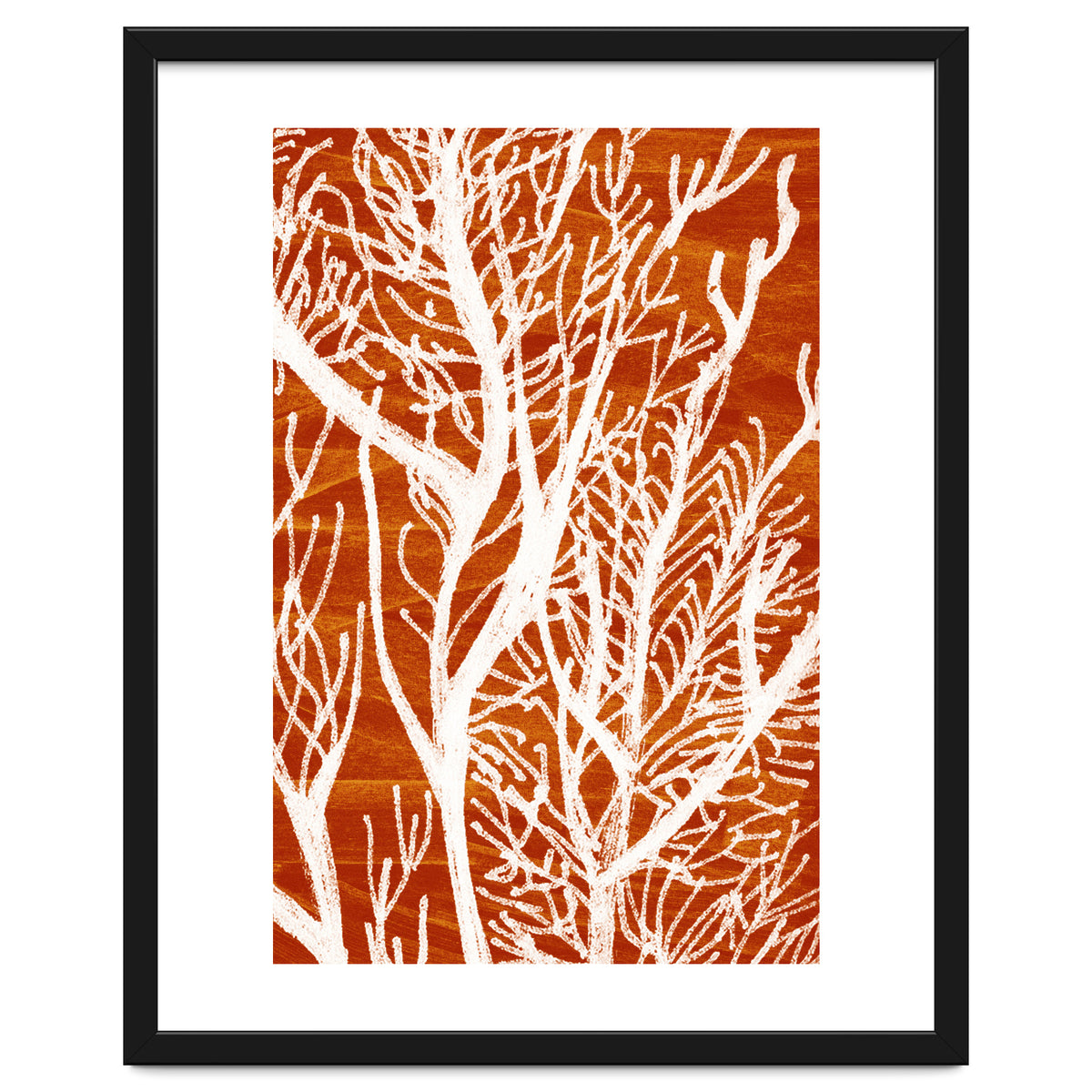 Desert Colours Collection 2