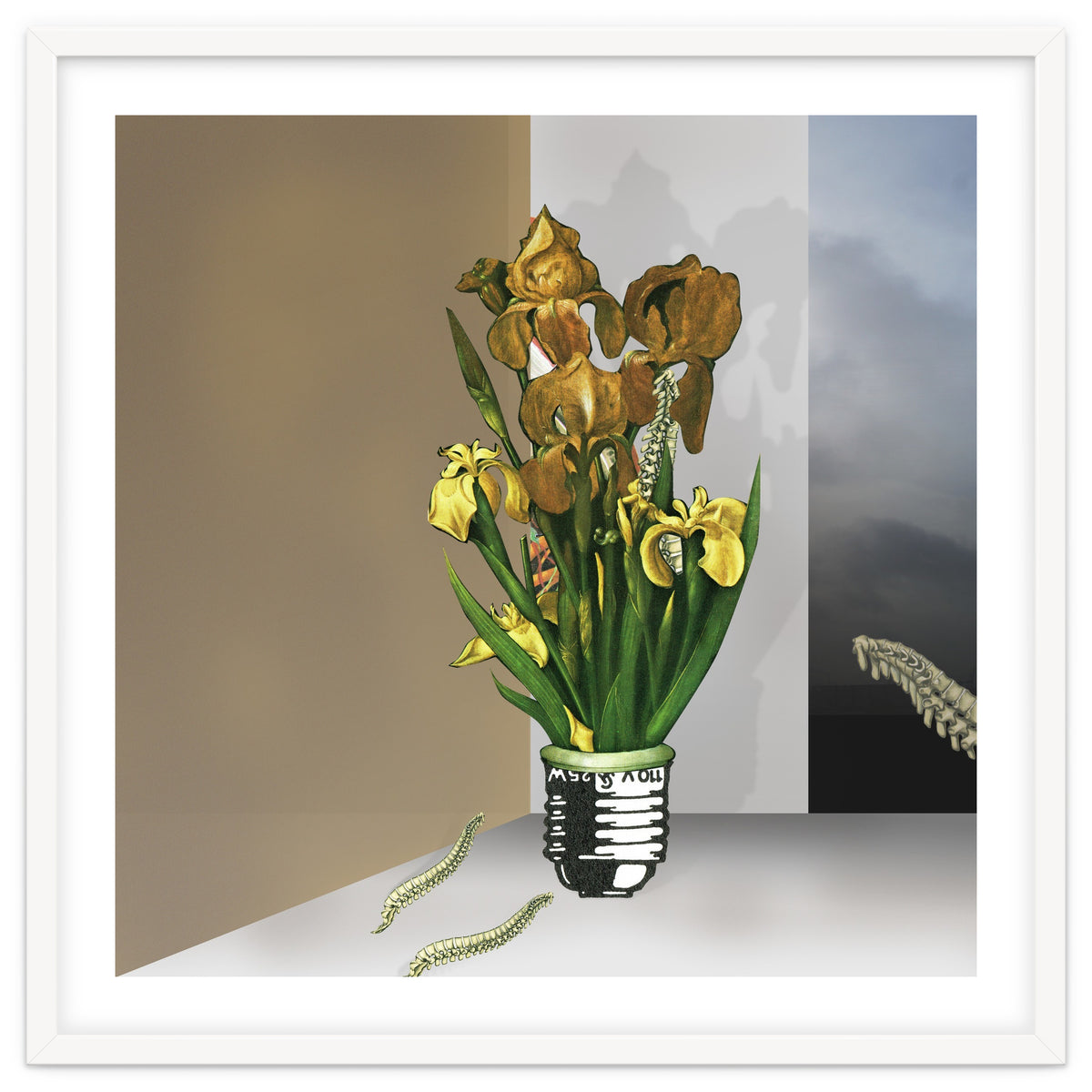 Das Licht Der Pflanze