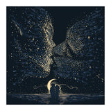 Starcrossed (Print Only) thumbnail