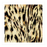 The Tiger Side (Print Only) thumbnail