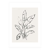 Banana Leafs Drawing (Print Only) thumbnail