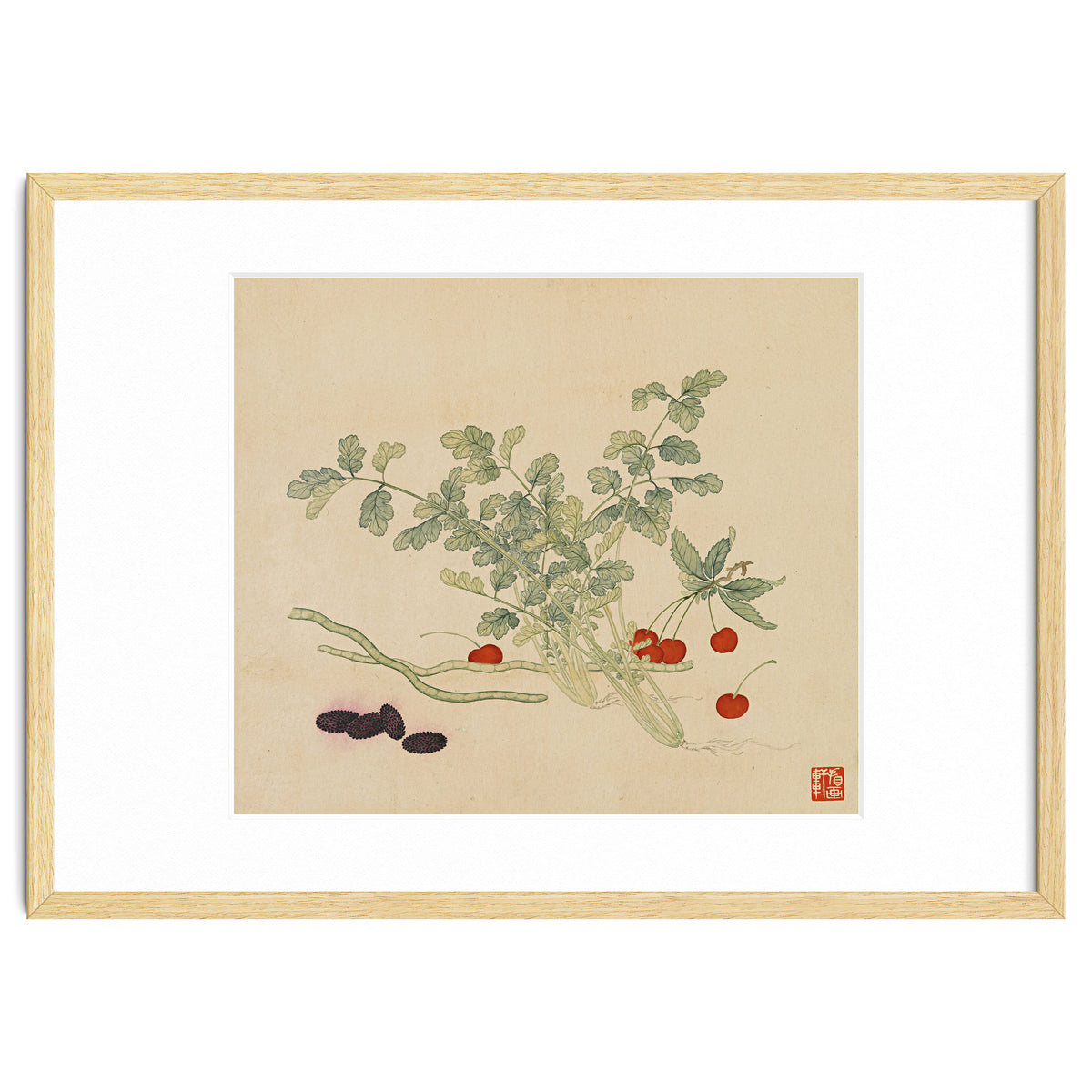 Wang Chengyu~flowers And Vegetables, Vegetables, Fruits, Beans, Red Beans, Cherries, Celery