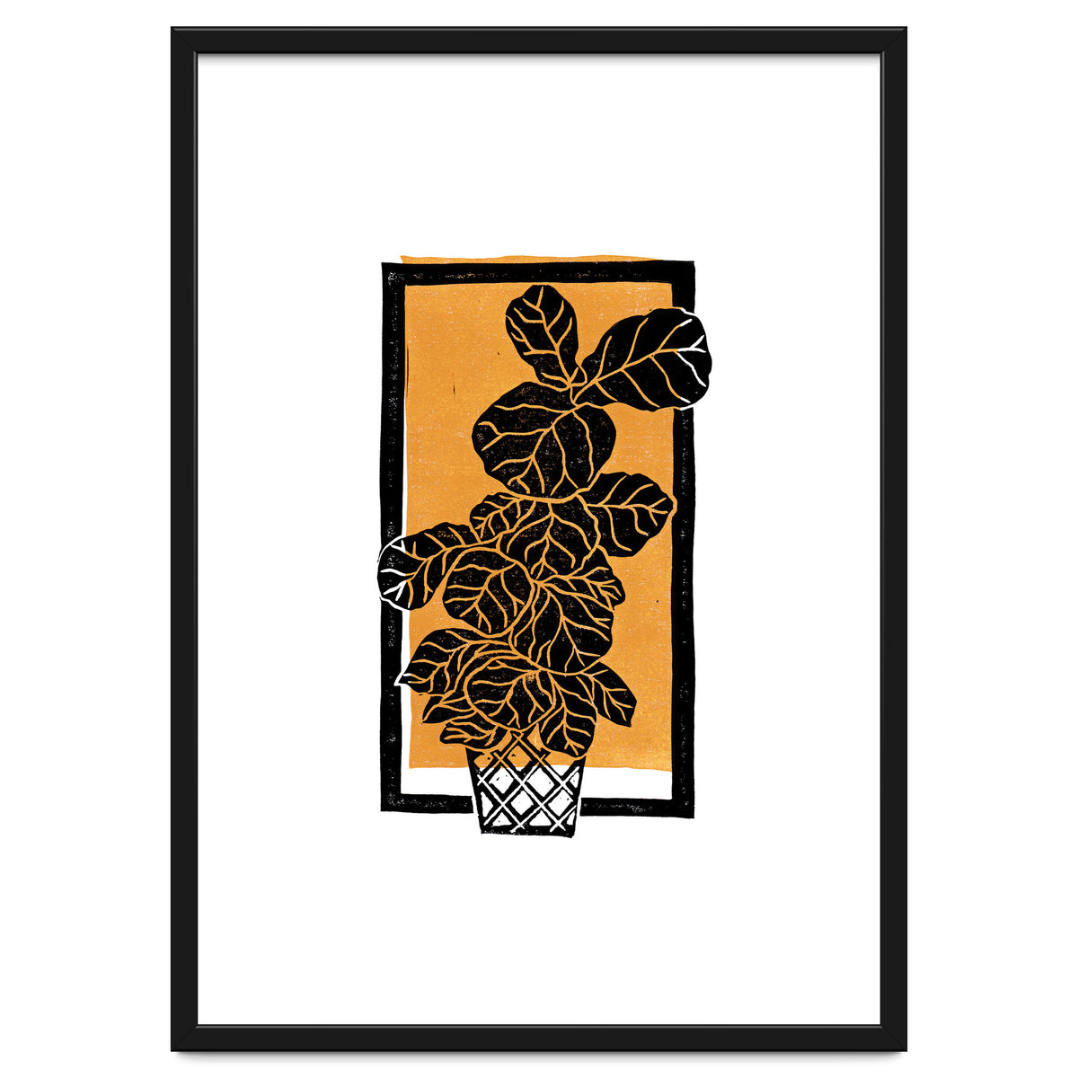 Fiddle Leaf Fig Clean + Sunlight