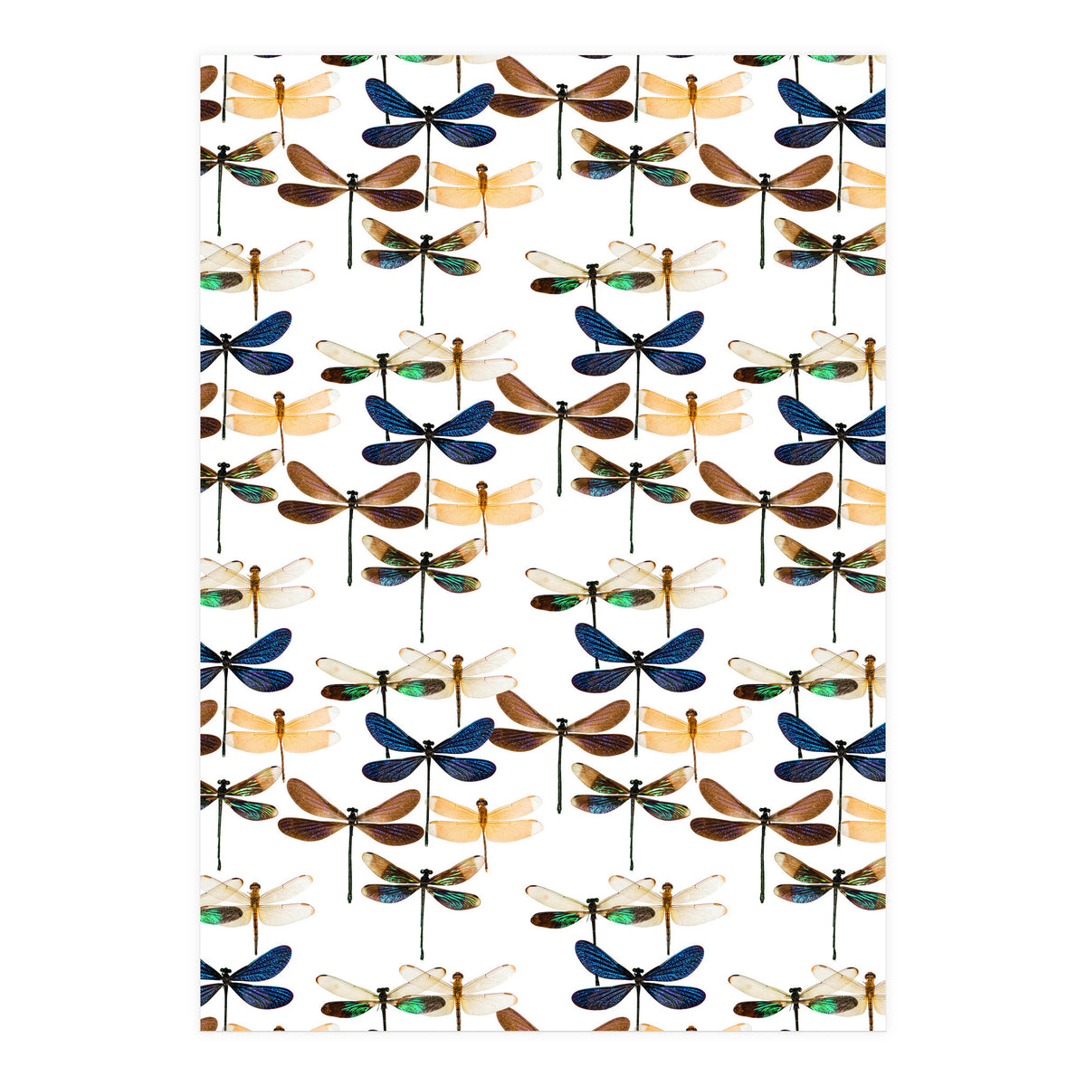 Cc Mle 10213 (Print Only)