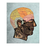 Brain Anatomy (Print Only) thumbnail