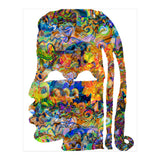 Abstracto Pop Nuevo B 5 Copia (Print Only) thumbnail