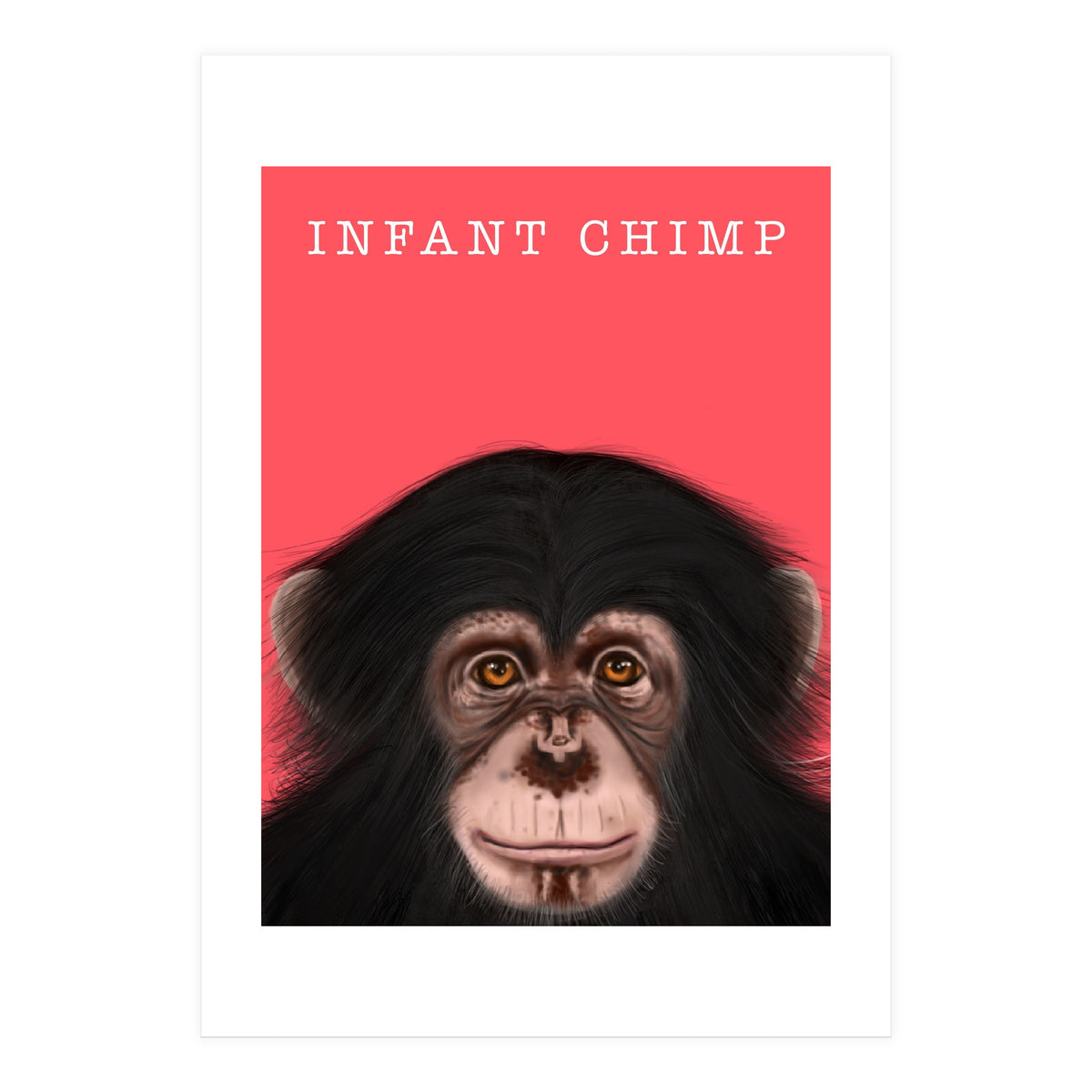 Infant Chimp (Print Only)