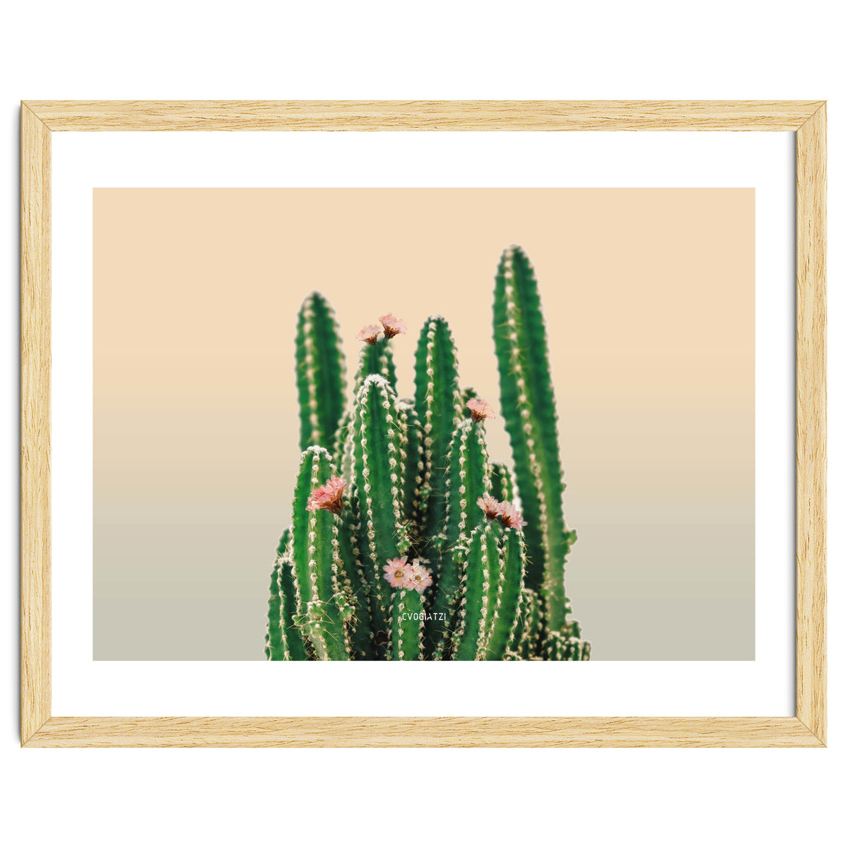 Flowered Cactus