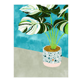 Variegated Monstera (Print Only) thumbnail
