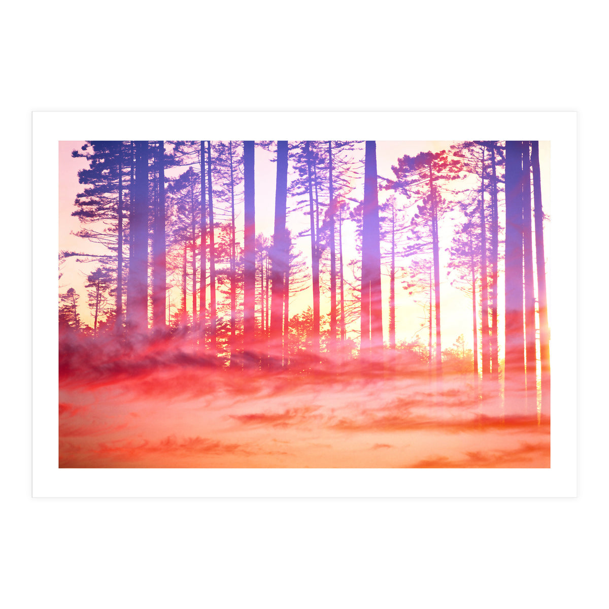 Artistic CVI (Print Only)