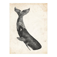 balena (Print Only)