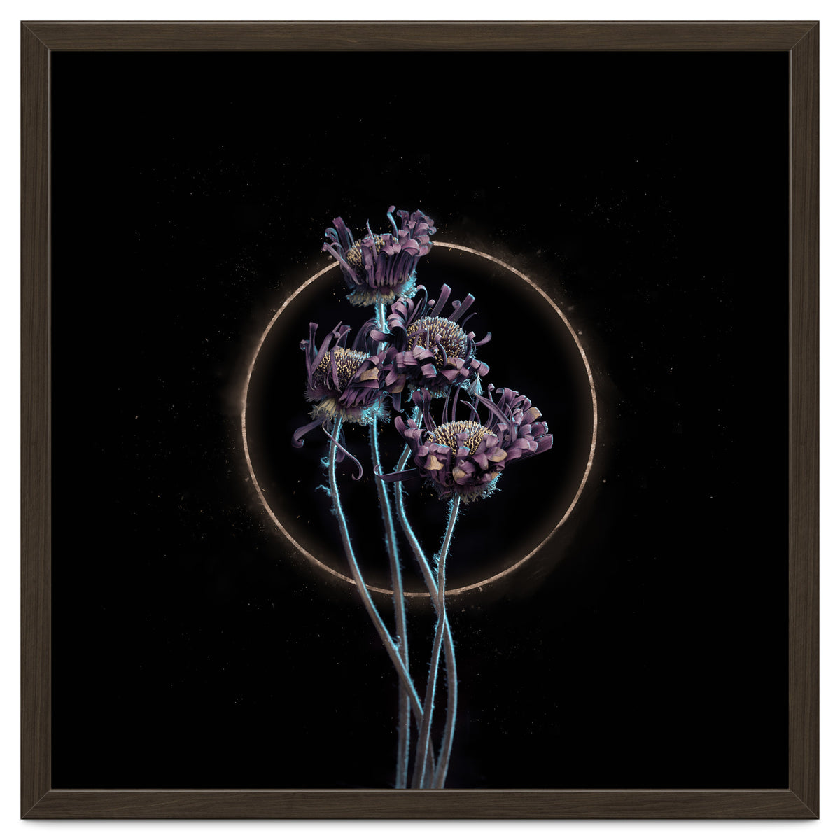 Candy-Coloured Mystery