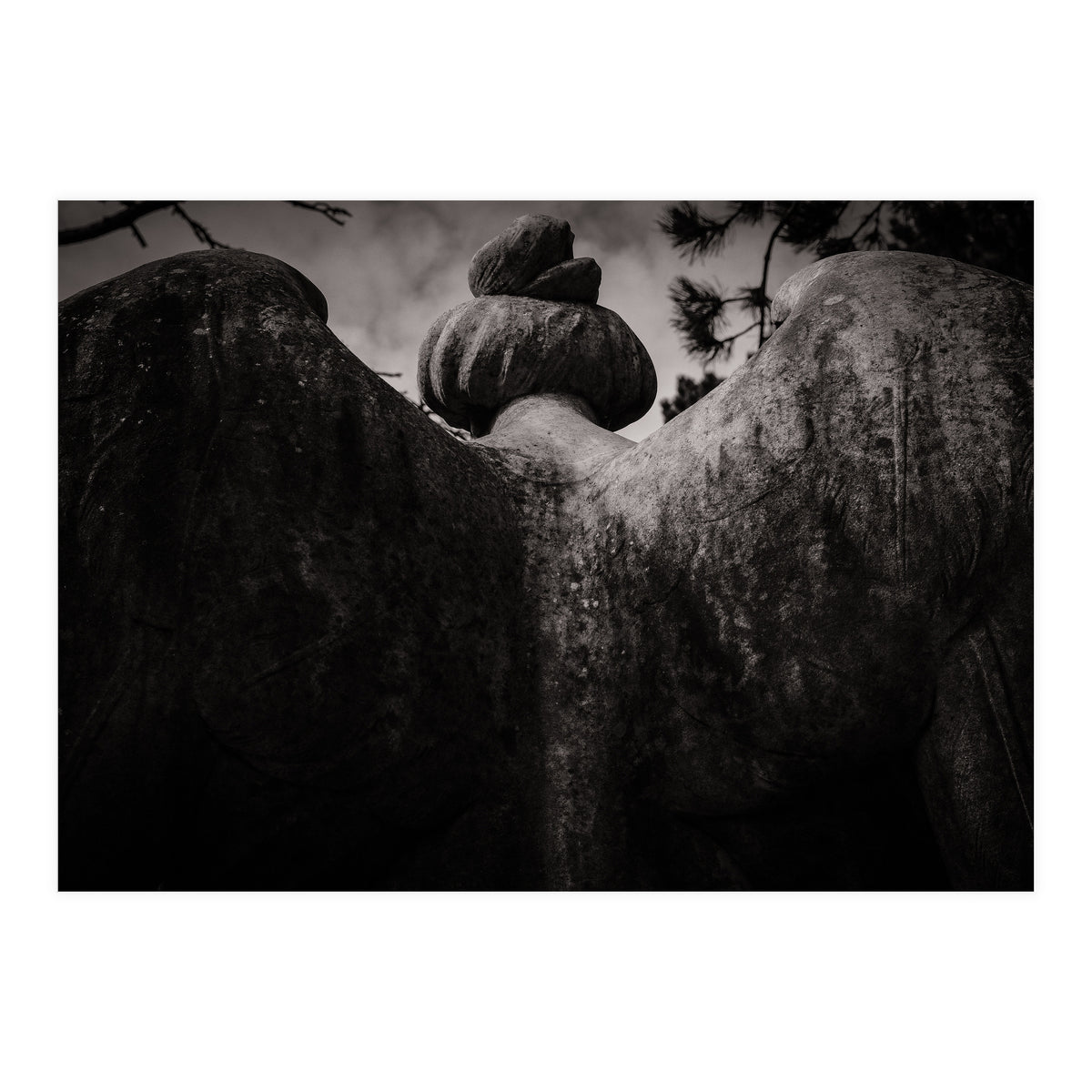 Angel Wings (Print Only)