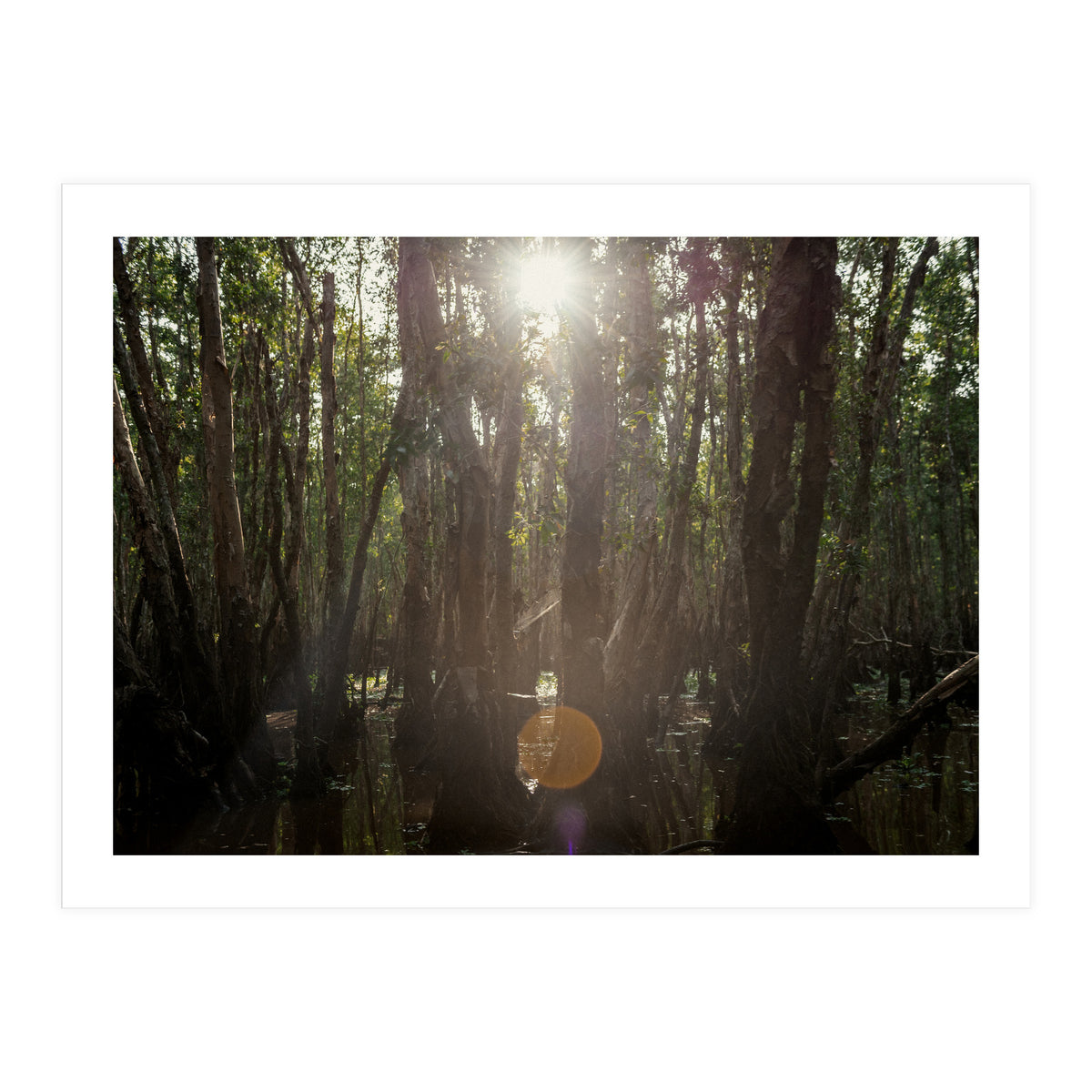 Morning in Vietnam (Print Only)