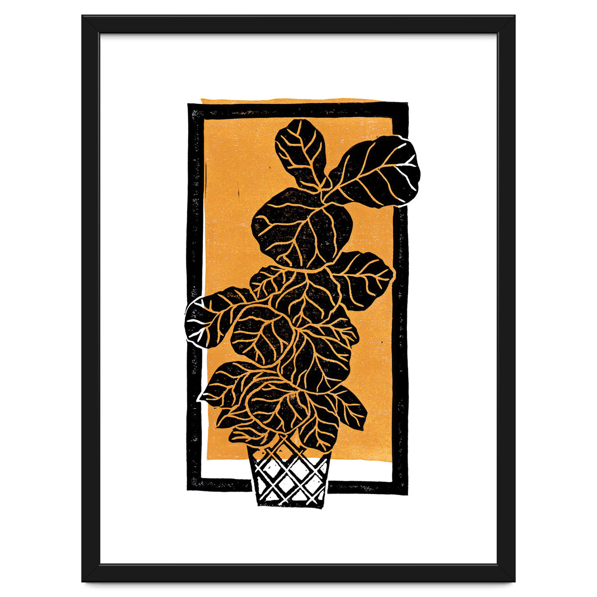 Fiddle Leaf Fig Clean + Sunlight