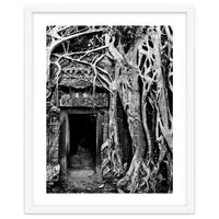 Ta Prohm Temple, Cambodia