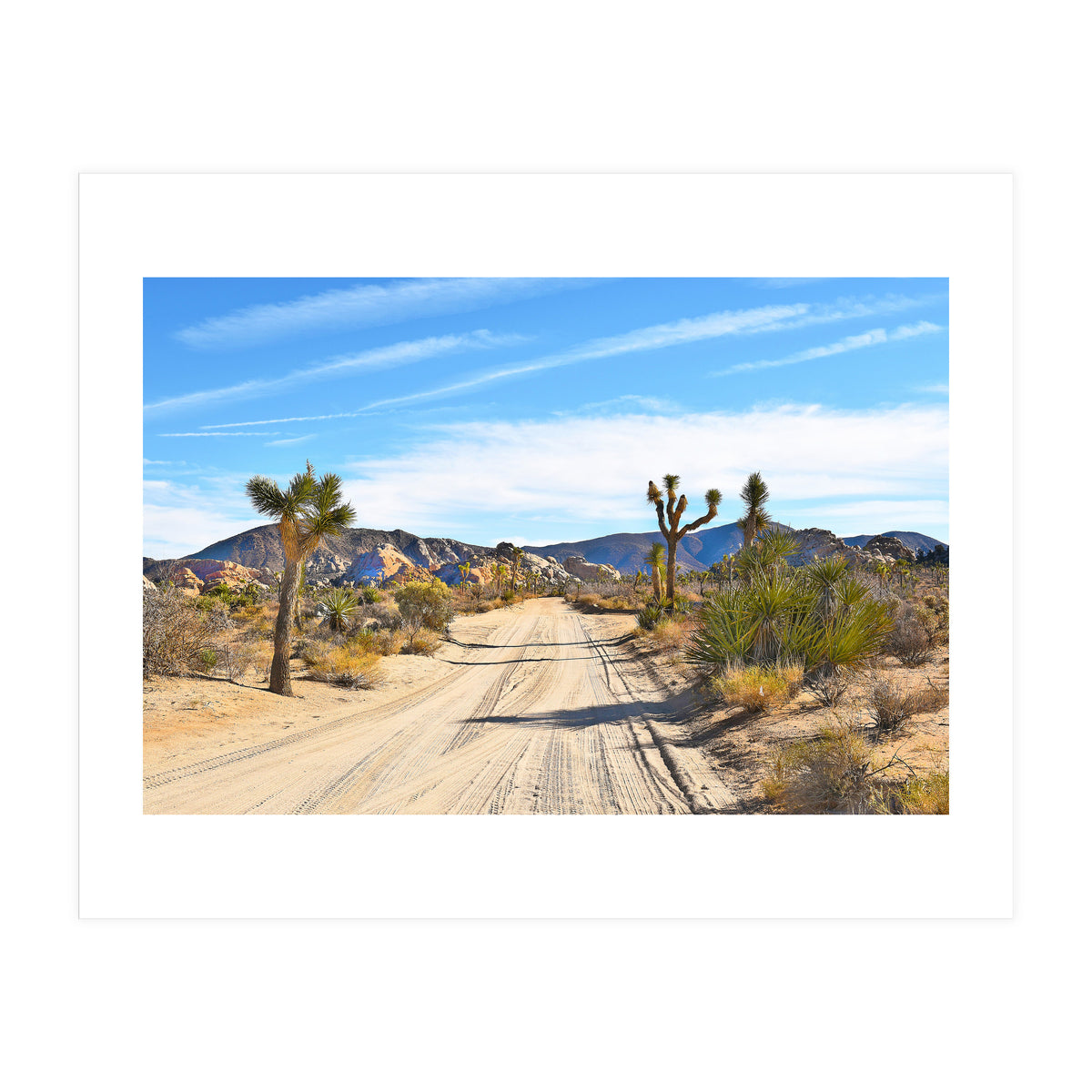 Joshua Tree II (Print Only)