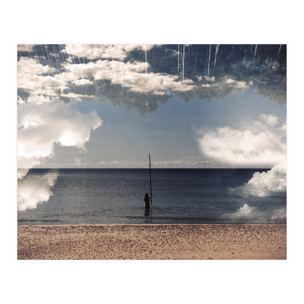 Sea the Forest (Print Only)