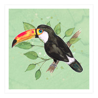 Toco toucan (Print Only)