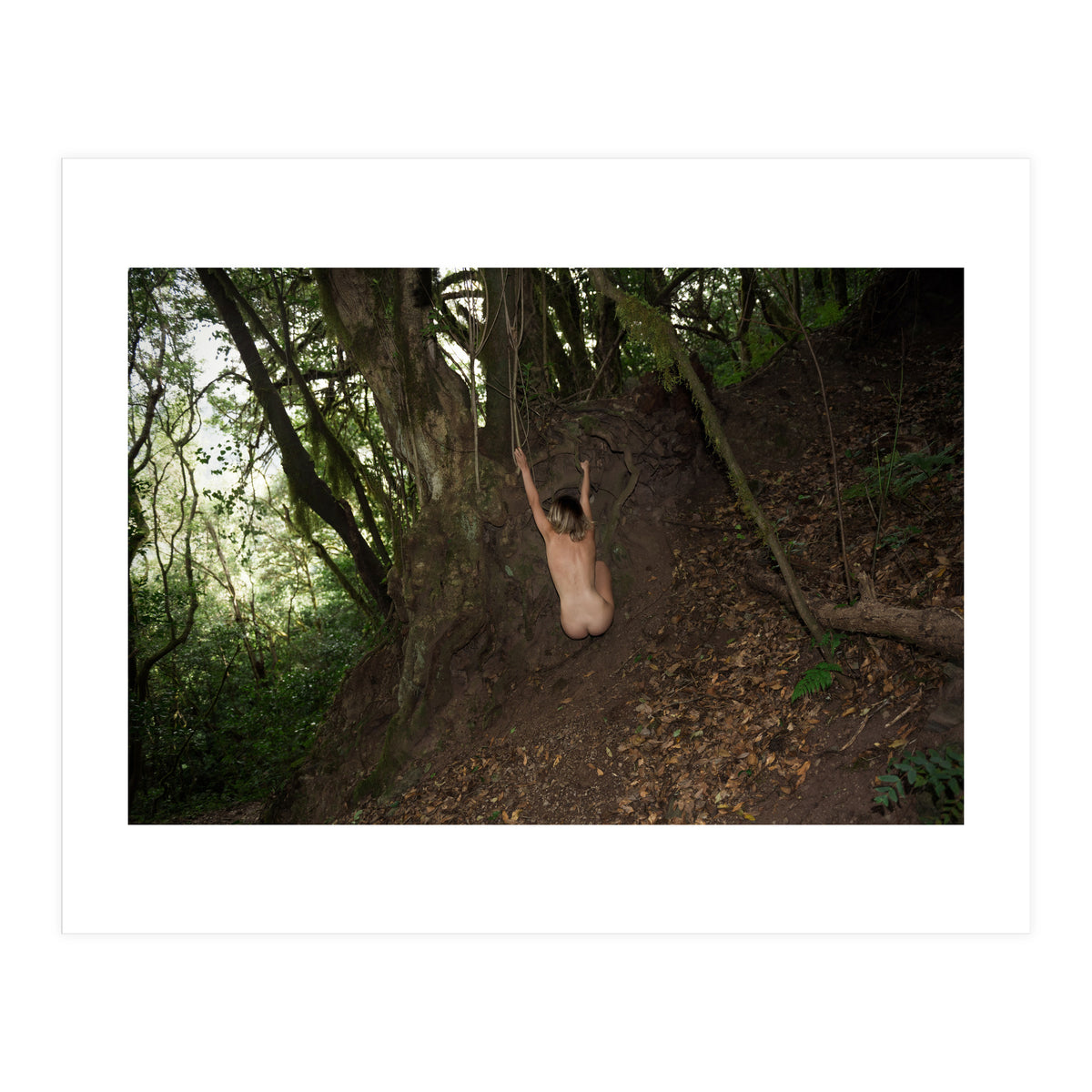 The kids Are all Wild (Print Only)