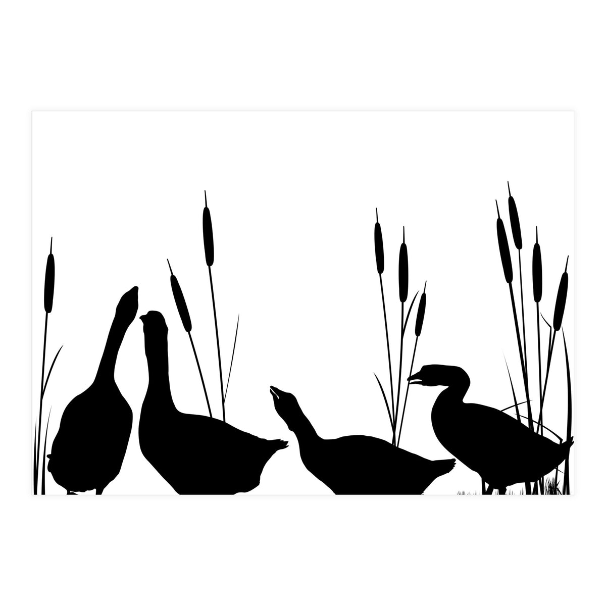 Geeses  (Print Only)