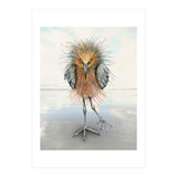 Reddish Egret (Print Only) thumbnail