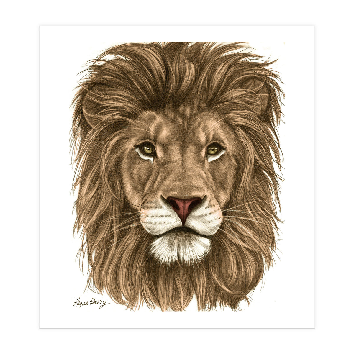 The Majestic Lion (Print Only)