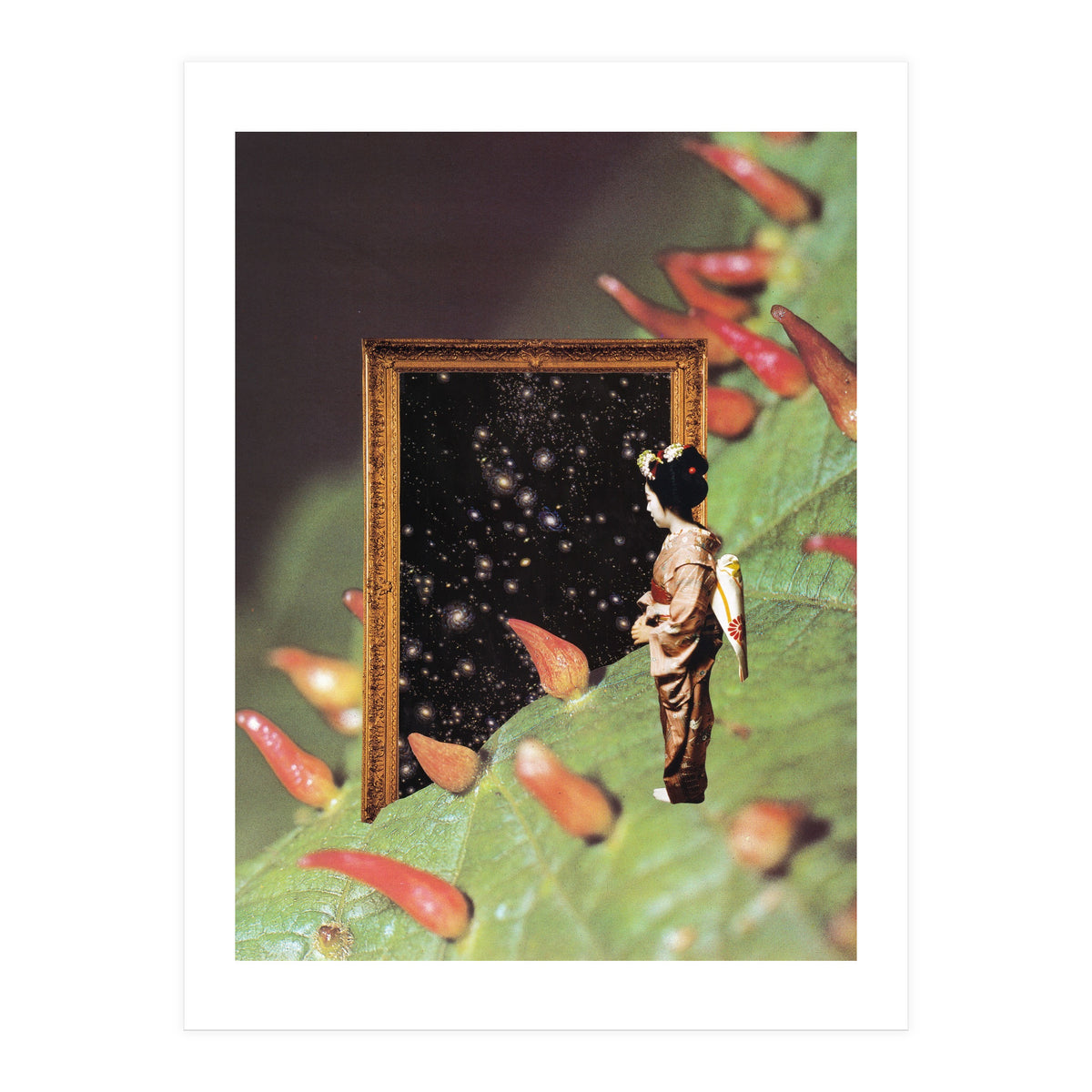 Cosmology (Print Only)