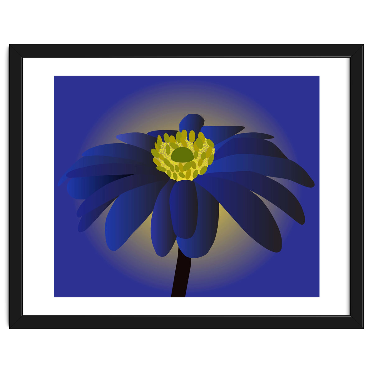 Anemone Blanda Flower Art