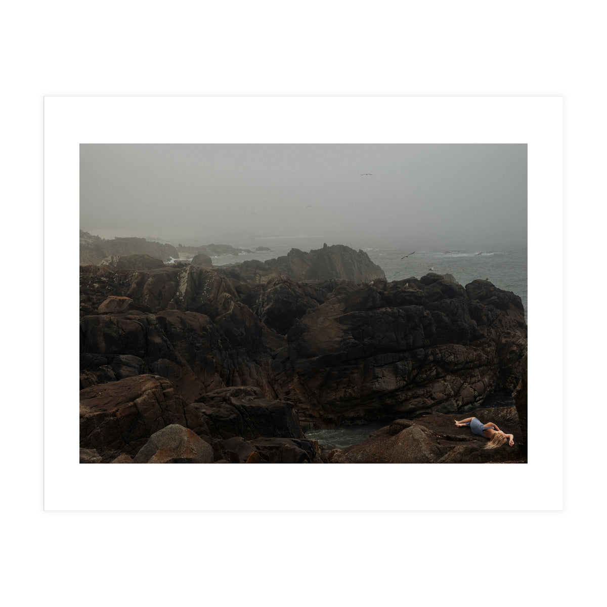 Seagull Bay (Print Only)