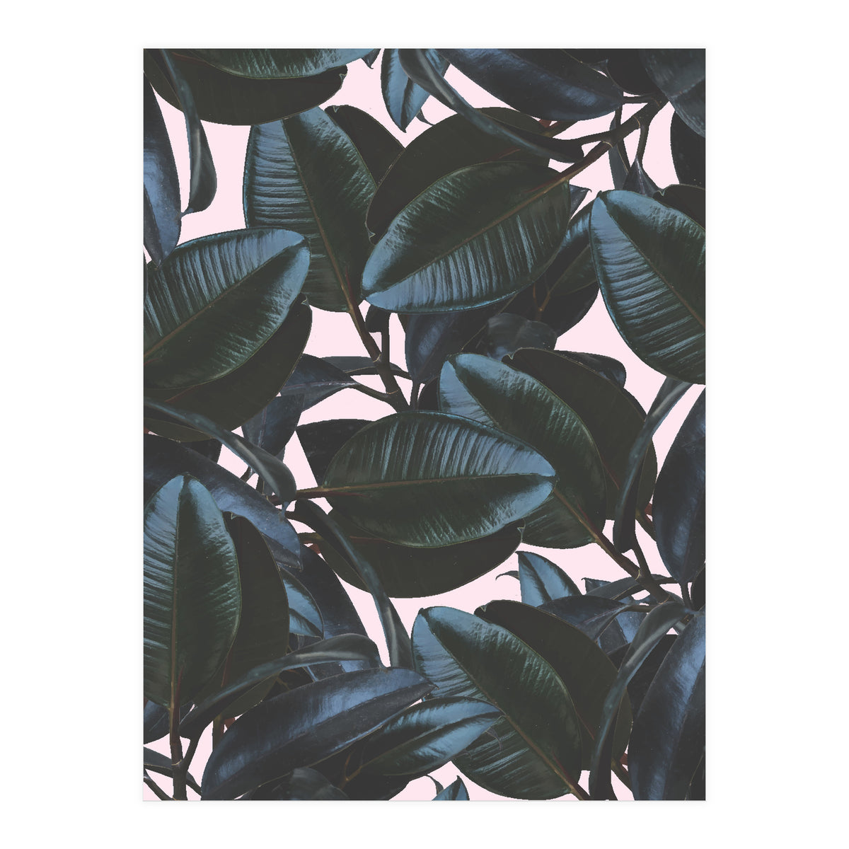 Charming Impression (Print Only)