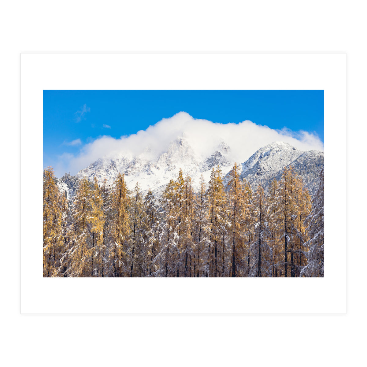 Cloudy Crown (Print Only)