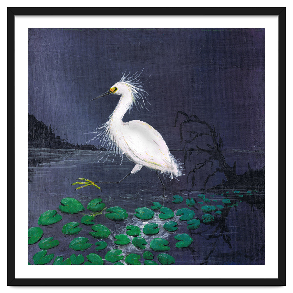 Twilight egret
