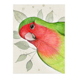 Curious lovebird (Print Only) thumbnail