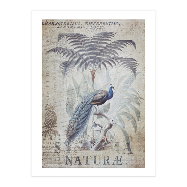 Peacock Jungle (Print Only)